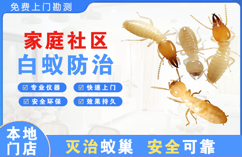 安溪家庭社区白蚁防治