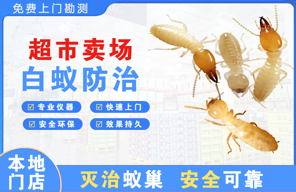 安溪超市卖场白蚁防治