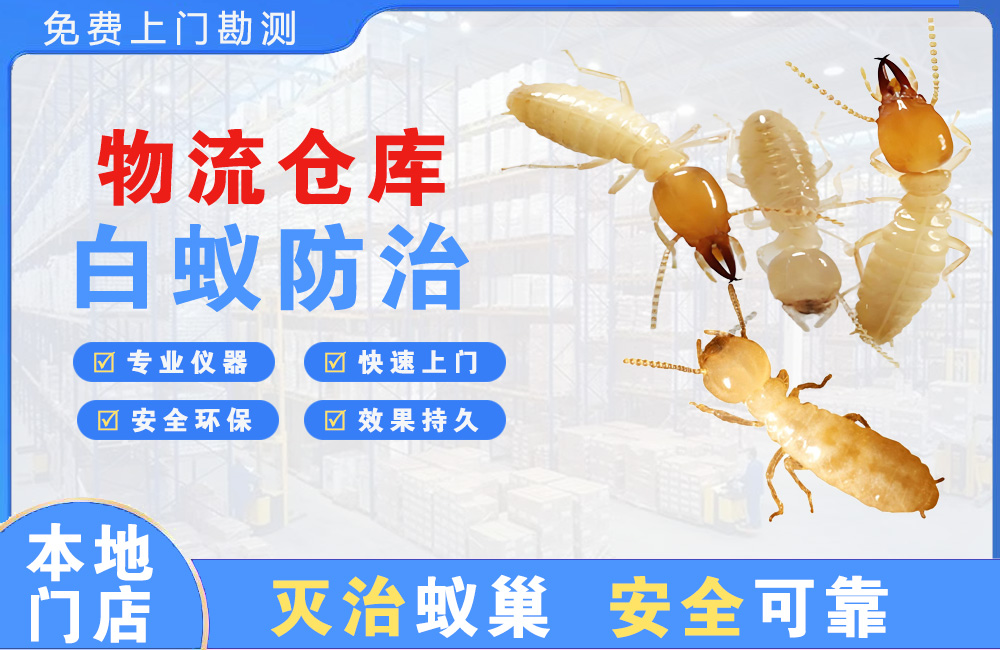 安溪物流仓库白蚁防治