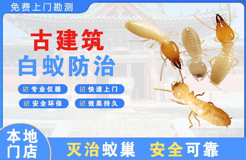 安溪古建筑白蚁防治
