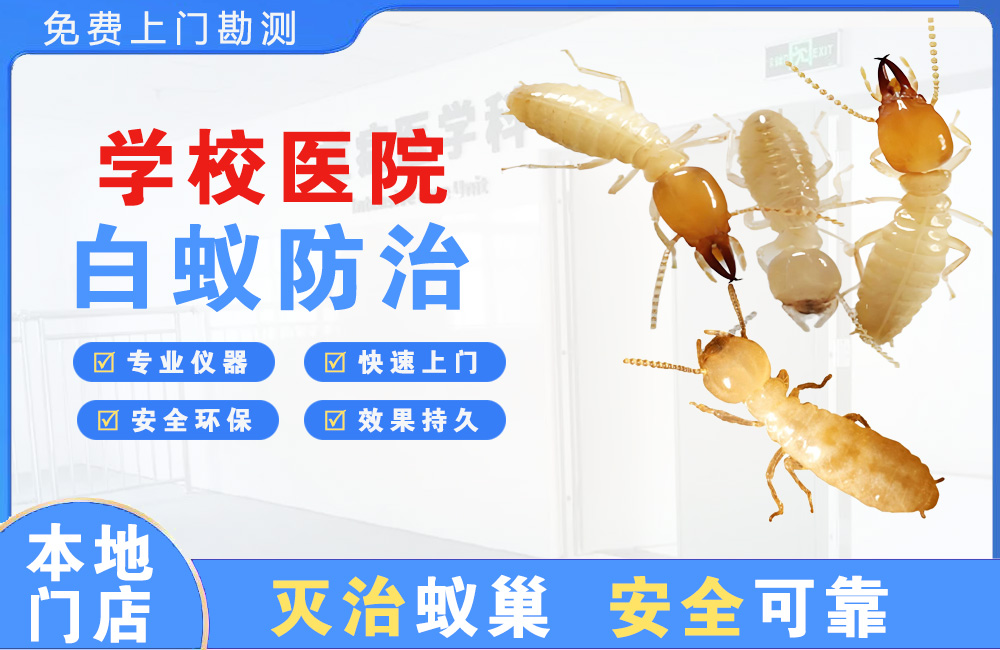 安溪学校医院白蚁防治