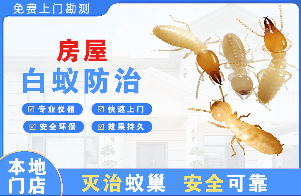 安溪房屋白蚁防治