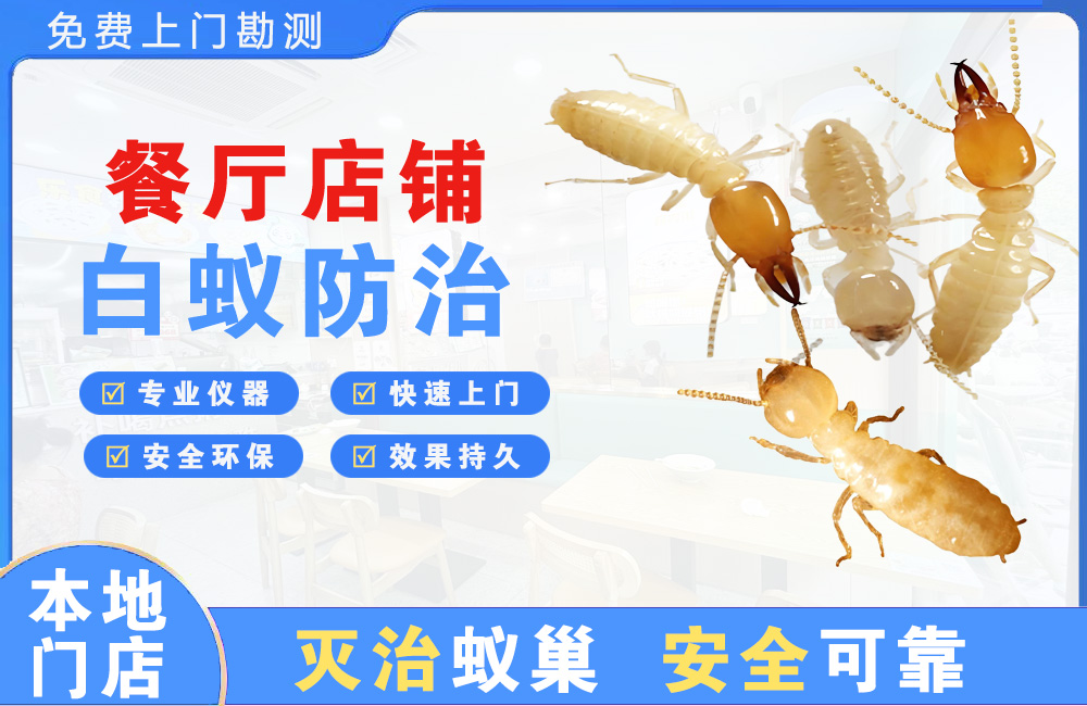 安溪餐厅店铺白蚁防治
